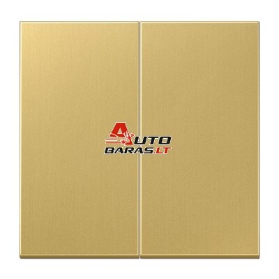 2 gang cover JUNG ME2995C (brass color)