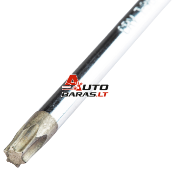 SATA Atsuktuvas TORX 1