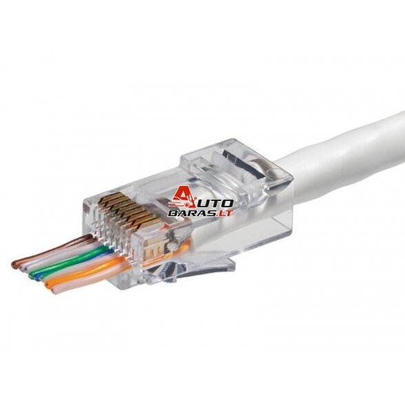 RJ45 kištukas (perkišamas, UTP, CAT5e)