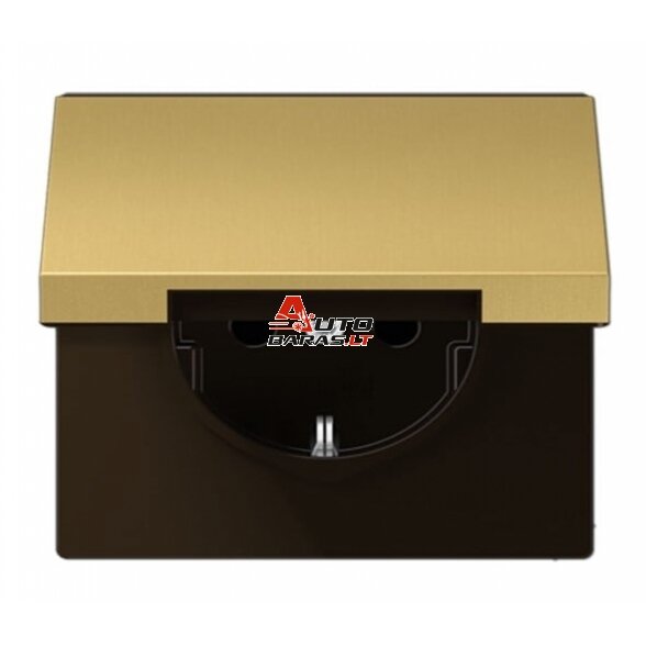 Socket with lid JUNG ME1520KLC (black, brass color)