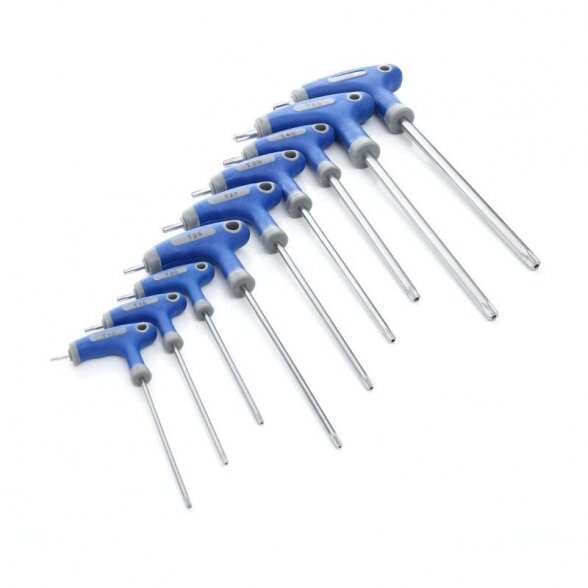 'T' tipo.rak.rink.(9vnt) (torx)  T10-T50 1